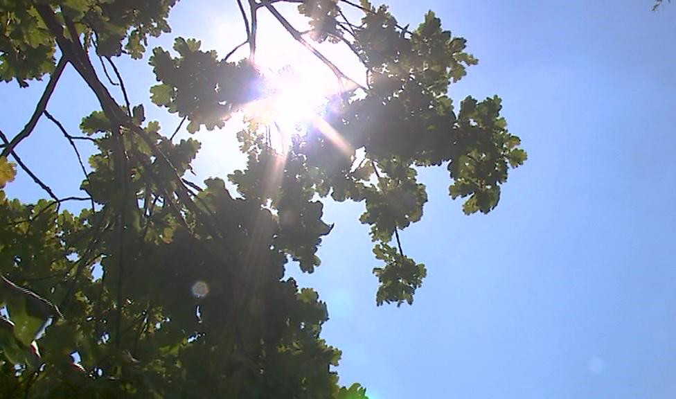 Июнь этого года в Петербурге вошел в пятерку самых теплых за всю историю метеонаблюдений