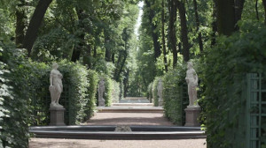 8 июля для посещения откроется Михайловский сад