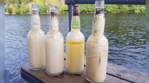 Молоко 80-летней выдержки нашли на дне Ладоги
