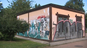 «Неделя чистоты» в Петербурге