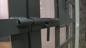 Мошенница из Подмосковья