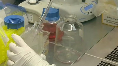 Глава Роспотребнадзора: В России необходимо иметь несколько вакцин от COVID-19