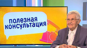 Что сажать в конце лета? Консультация садовода