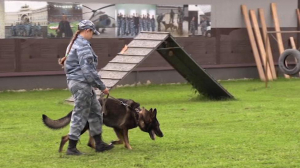 Служебная собака помогла оперативникам задержать злоумышленника, который пытался надругаться над 15-летней школьницей