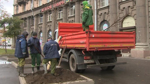 На Комсомольской площади высадили липы