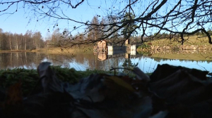 Дело об убийстве Александра Петрова