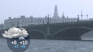 Завтра в Петербурге ожидается небольшой, местами умеренный дождь