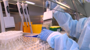 Деньги на оснащение лабораторий, где диагностируют коронавирус