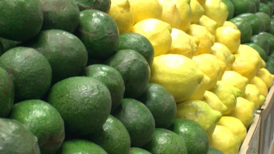 Россияне компенсируют отсутствие заграничных поездок покупкой экзотических фруктов