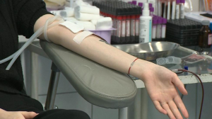 За неделю проведения акции «Городской молодёжный день донора» петербуржцы сдали почти 550 литров крови