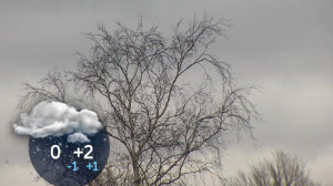 В четверг в Петербурге будет +2