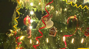 Точки новогодней сказки. Огни Дворцовой площади, семимостья и Никольских рядов помогают петербуржцам создавать праздничное настроение