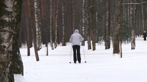 Шапки — для новичков: в ближайшие выходные из Петербурга выходят традиционные «лыжные стрелы»