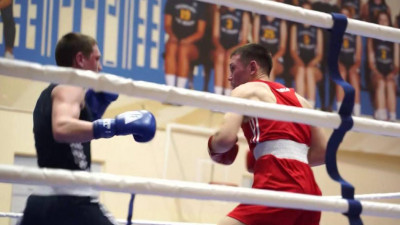 Университет технологий и дизайна выиграл чемпионат Петербурга по боксу среди студентов
