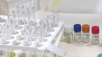 В Петербурге разработали тест-систему крови, которая за один раз определяет 4 инфекции