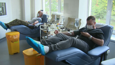 Петербуржцев приглашают сдать кровь в будние дни и в донорскую субботу