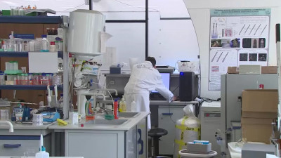 Путин поручил увеличить гранты на исследования под руководством ведущих ученых