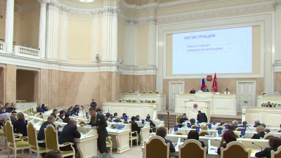 Детский омбудсмен Анна Митянина выступила с ежегодным докладом в ЗакСобрании Петербурга