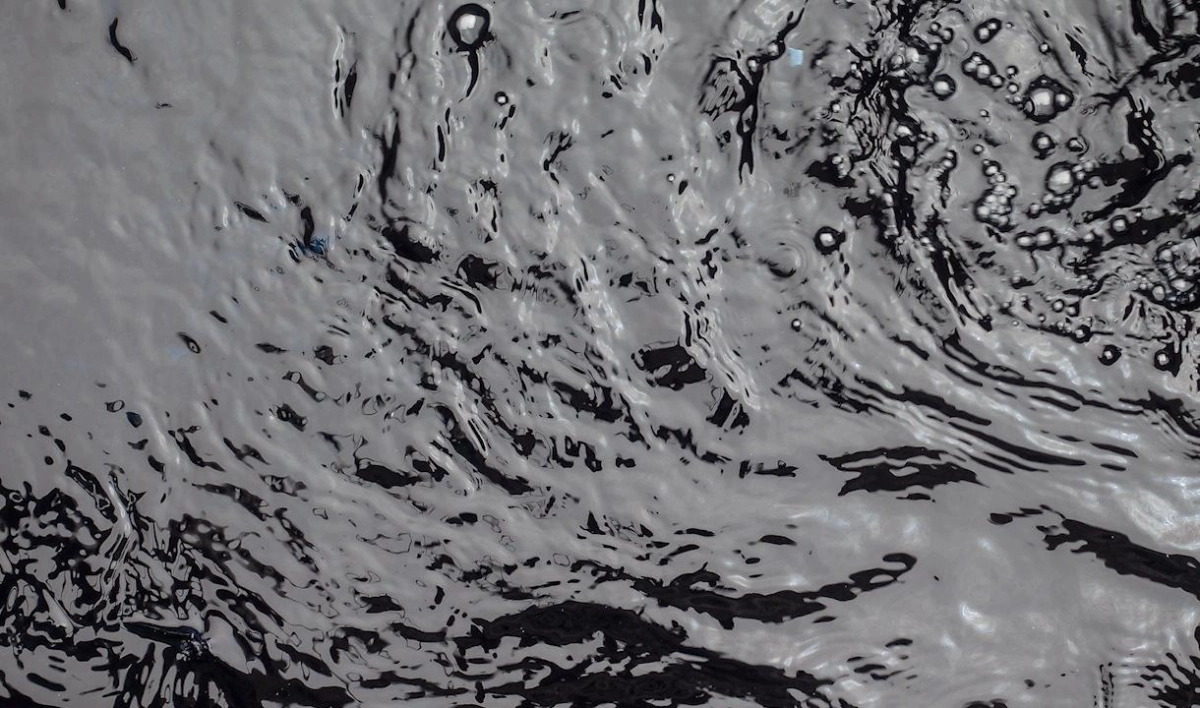 Какой улов добывают «магнитные» рыбаки Петербурга - tvspb.ru