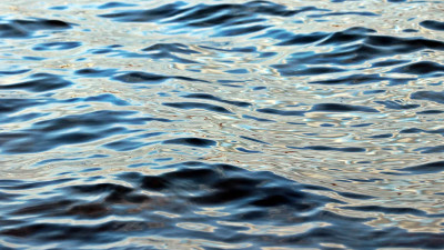 В «Векторе» рассказали, возможно ли заразиться коронавирусом через воду водоемов