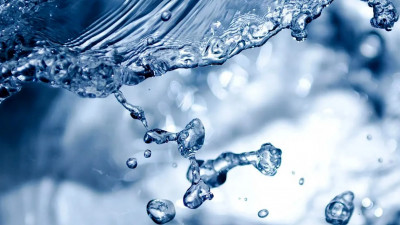 Петербургские и финские ученые научились очищать воду из водоемов при помощи железа