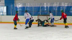 Спорт днем