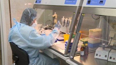 В Петербурге с COVID-19 работает в 2 раза больше лабораторий по сравнению с маем