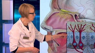 Врач рассказала, почему человек теряет обоняние при COVID-19
