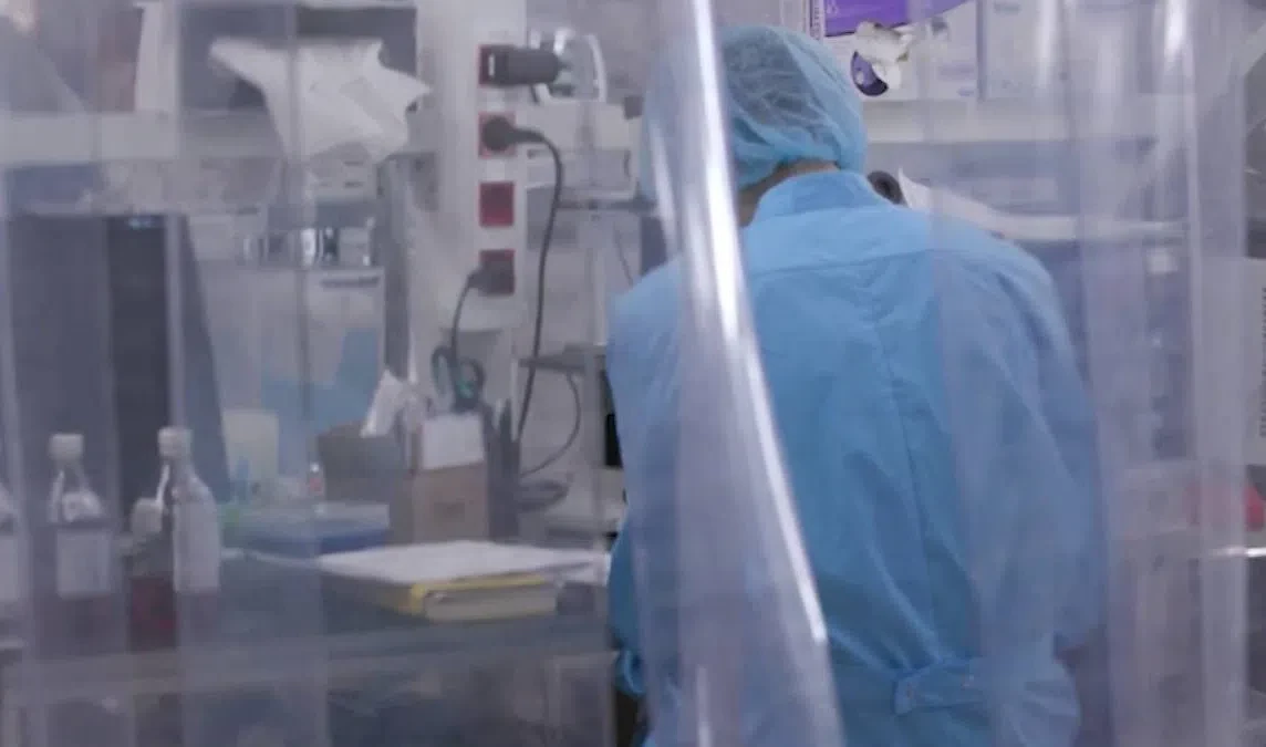 Петербургские математики спрогнозировали, когда наступит следующий пик COVID-19 - tvspb.ru