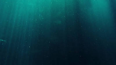 В Марианской впадине нашли популяцию гигантских вирусов