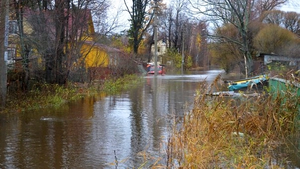 Очевидцы: Вода подтопила дома в поселке Александровская - tvspb.ru