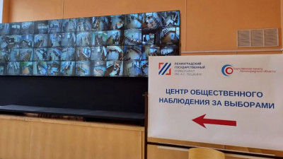 В Ленобласти было меньше всего нарушений и жалоб на прошедших выборах среди регионов СЗФО