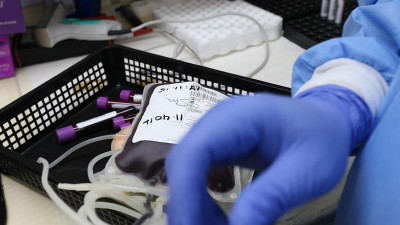 В Петербурге красный донорский светофор. Что это означает