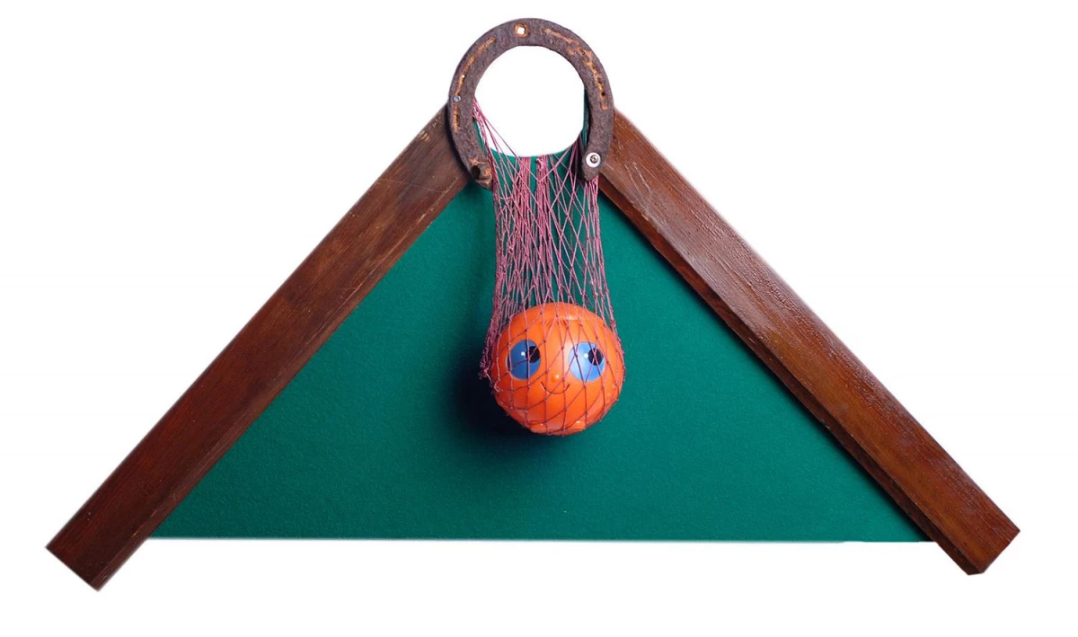 В РНБ расскажут о хобби Пушкина, Набокова и Камю - tvspb.ru