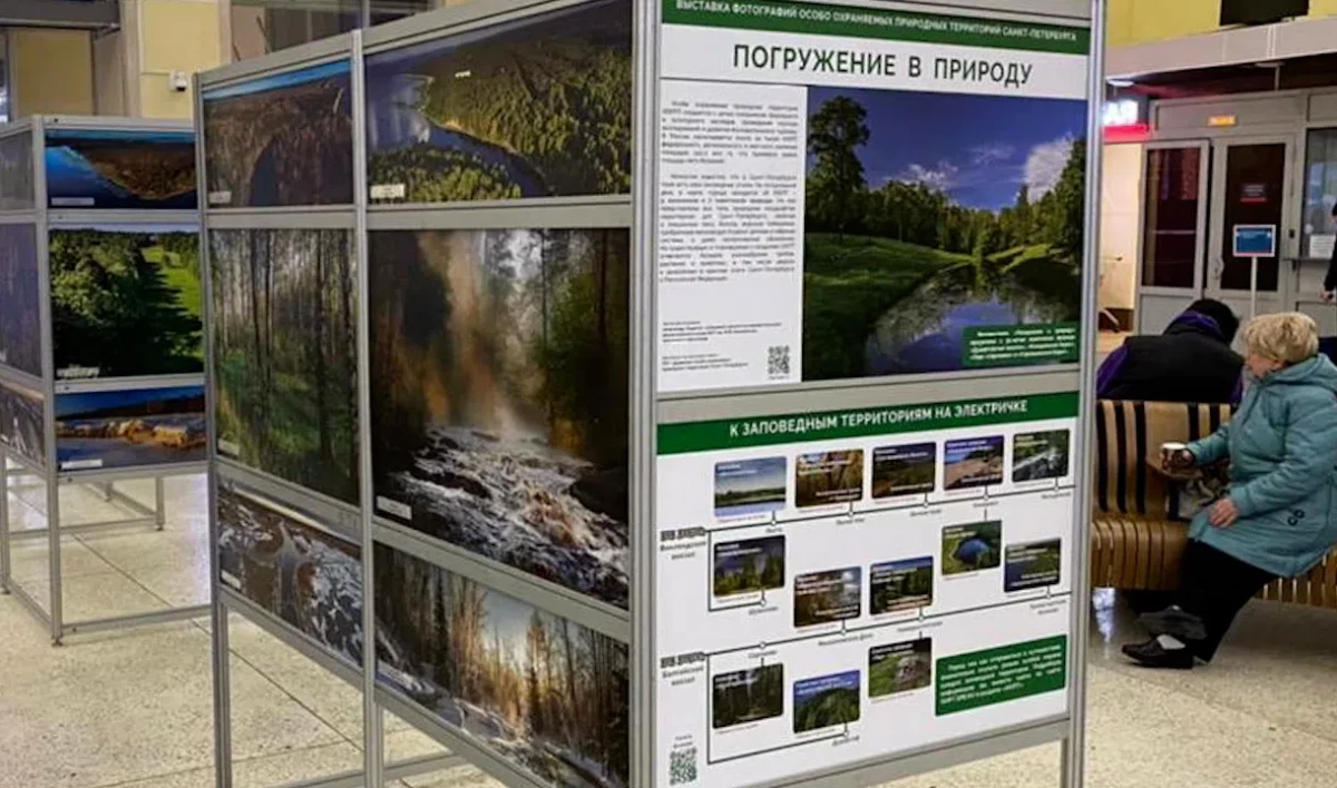 Финляндский вокзал стал площадкой для фотовыставки «Погружение в природу» - tvspb.ru
