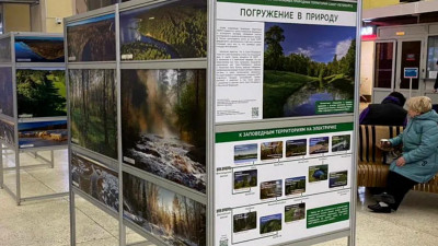 Финляндский вокзал стал площадкой для фотовыставки «Погружение в природу»