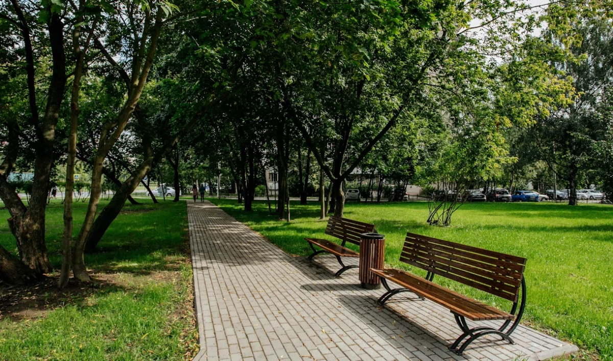 В Невском районе благоустроят два парка и скверы - tvspb.ru