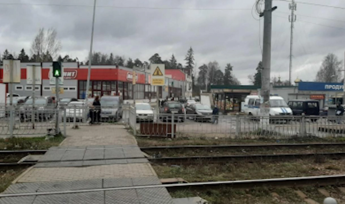 СК проводит проверку после гибели мужчины под колесами электрички на стации Бернгардовка в Ленобласти - tvspb.ru