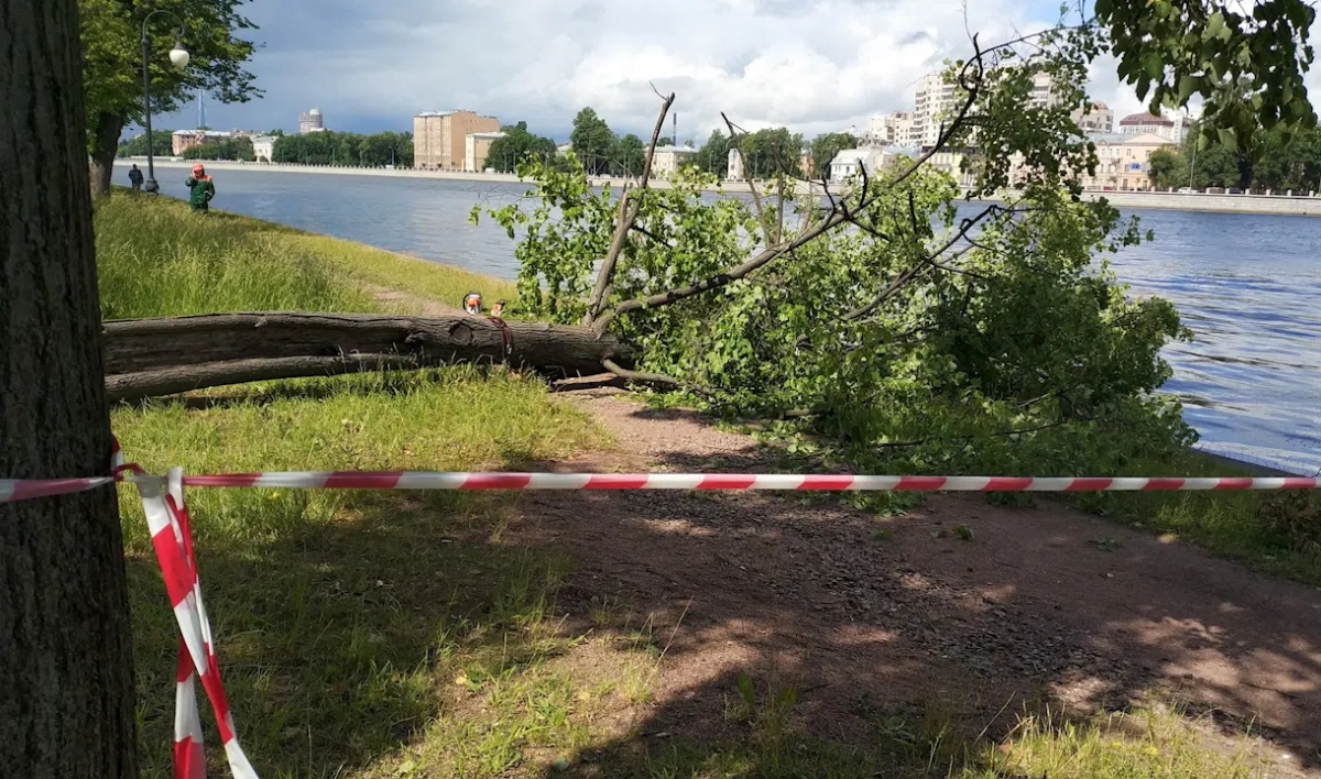 Сады и парки Петербурга закрывают из-за надвигающейся бури - tvspb.ru