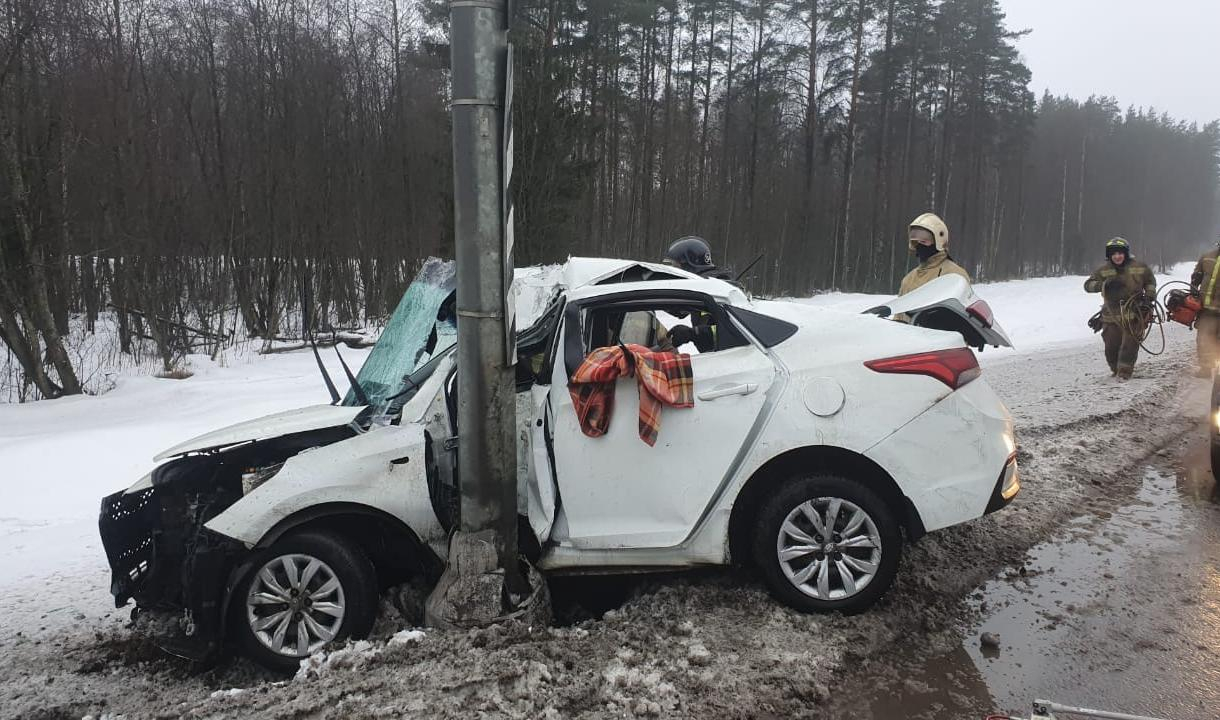 Полиция выясняет обстоятельства смертельной аварии на «Сортавале», где  машину «намотало» на столб | Телеканал Санкт-Петербург