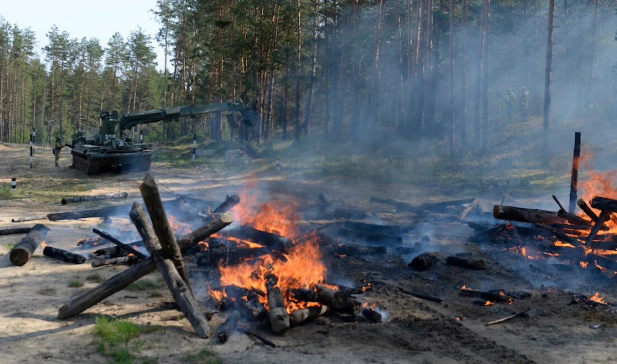 В Ленобласти военные провели учения по тушению лесных пожаров - tvspb.ru