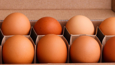Московская компания поставит в Петербург почти 13 миллионов куриных яиц для производства вакцин