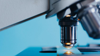 Ученые СПбГУ нашли новый способ изучения микроорганизмов в разных средах