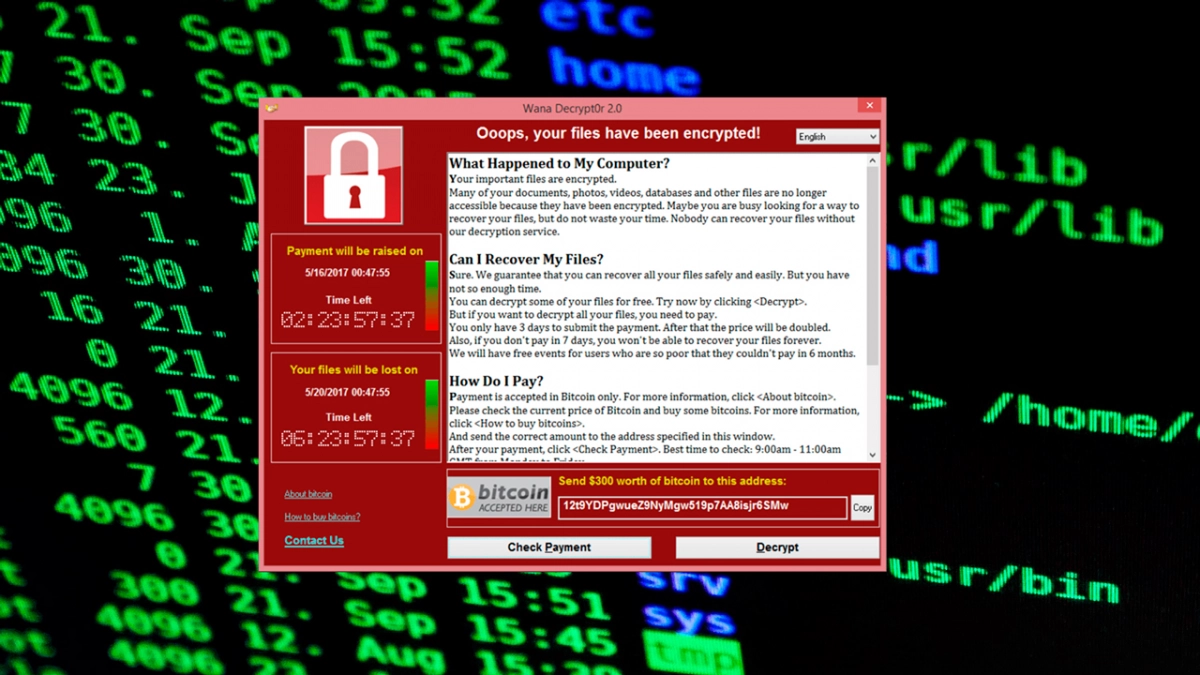СМИ сообщили об атаке вируса WannaCry на серверы МЧС - tvspb.ru