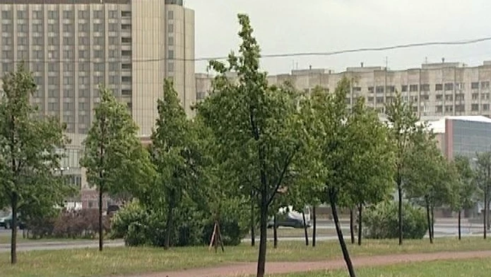 МЧС предупреждает петербуржцев о сильном ветре в ближайшие дни - tvspb.ru