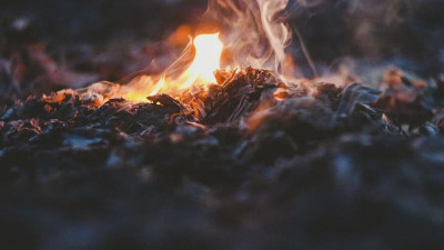 Детские лагеря Ленобласти готовятся принять летом маленьких петербуржцев