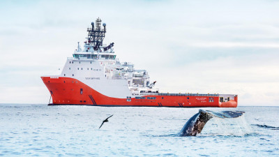 Ученые рассказали о новом методе обнаружения китов