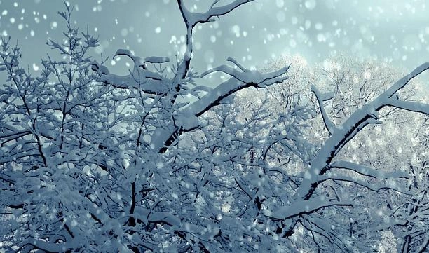 В Пензенской области и Татарстане тысячи человек остались без света из-за снегопада - tvspb.ru