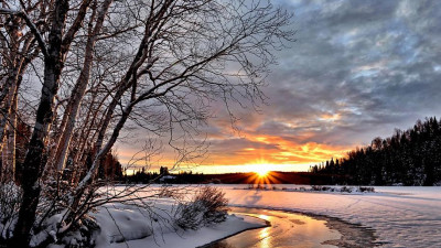 В ЗакСе поддержали законопроект о расширении перечня зон зеленых насаждений