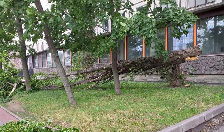 Спасатели в Петербурге из-за шторма совершили уже 70 выездов - tvspb.ru